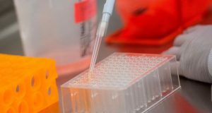 Russia’s Covid-19 vaccine induces strong immune response, study reveals