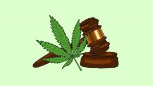 Woman arrested for drugs importation; man ordered to pay $12k