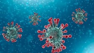 PAHO/WHO Statement – Detection of a SARS-CoV-2 variant in United Kingdom