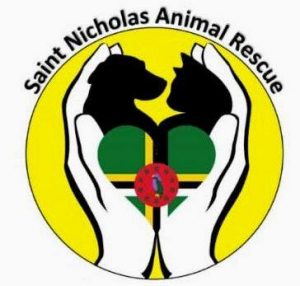 Saint Nicholas Animal Shelter looks back at 2020