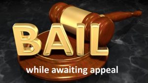 UPDATE: Three of five sentenced for illegal entry, out on bail after lodging appeal
