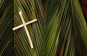 LIVE: Palm Sunday Mass from Cathedral Chapel