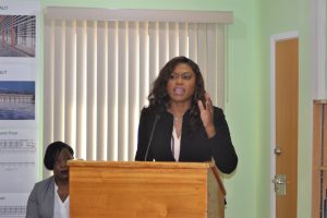 CBI funded resorts and spa under construction continue to generate growth for the economy – Tourism Minister