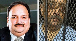 Mystery woman not Choksi’s girlfriend but part of team that abducted him, sources say