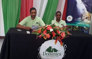 DDA promotes staycation for increased tourism business during summer