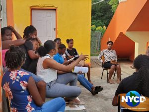 NYCD:  NYCD and YDD accomplish first steps to revamping all eight of its district youth councils