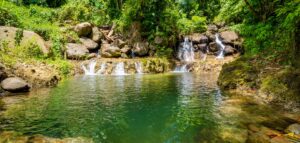 Dominica to mark 21st anniversary of World Rivers Day with national celebrations and titiwi festival