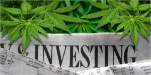 Dominica government now ready to explore investment possibilities in cannabis says Skerrit