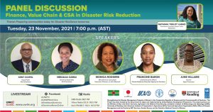 LIVE: UNDP GUYDOM Panel Discussion – Microfinance, Value Chain, Climate Smart Agriculture and Disaster Risk Reduction