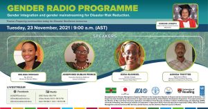 UNDP Gender radio programme – Gender integration and gender mainstreaming for Disaster Risk Reduction