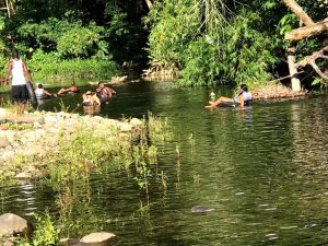 COMMENTARY: Save the nature isle by Hampstead Tourism Committee