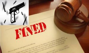 Castle Bruce man fined over $7,000 for possession of firearm