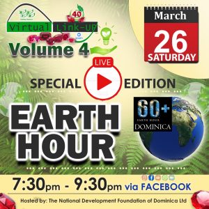 LIVE NOW: Earth Hour Virtual Link-Up hosted by NDFD