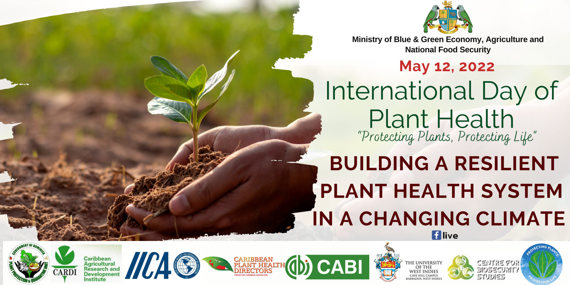 International Day of plant health Dominica News Online