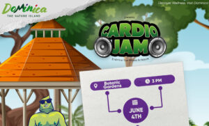 ANNOUNCEMENT: Year of Health and Wellness Cardio Jam, 3:00 p.m. June 4, Botanic Gardens