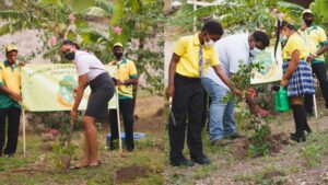 Sagicor General and Somerset Sports Club plant sustainable lessons at Kaleb John Laurent Primary School