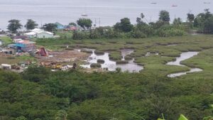 Planners Association of Dominica calls for urgent action to stop degradation and destruction of Indian River wetlands