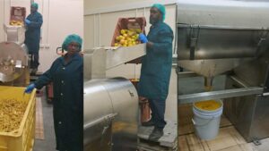 UPDATE: New DEXIA state-of-the-art, multi-fruit extractor improves efficiency for lead exports; farmers encouraged to grow passionfruit, guava (with video))