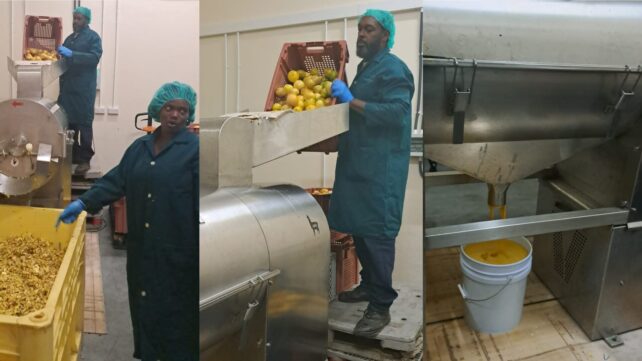 UPDATE: New DEXIA state-of-the-art, multi-fruit extractor improves effectivity for lead exports; farmers inspired to develop passionfruit, guava (with video))