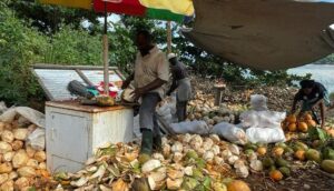 ‘We are hard-working people,’ say coconut vendors who condemn PM’s ‘Jelly-man’ statement