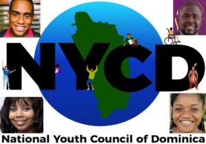 New executive elected for National Youth Council