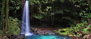 [Press Releae] Dominica relaunches online travel training for travel advisors