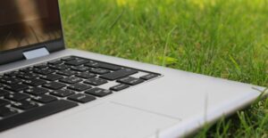 Eastern Caribbean Green Entrepreneurship Initiative opens applications for third cohort of incubator program