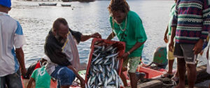 [Press Release] Caribbean Fisheries Forum convenes 21st meeting