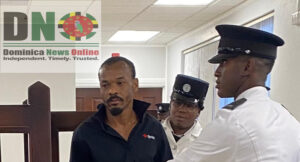 Grand Fond man sentenced to 28 years in prison for killing his father