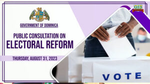 LIVE NOW: Public consultation on electoral reform – Diaspora open virtual session