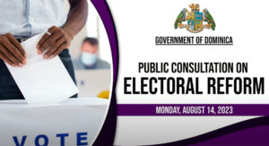 LIVE NOW: Public consultation on electoral reform (legal fraternity)
