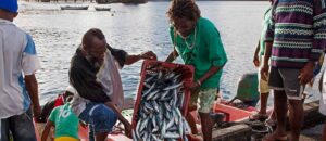 CAF, FAO, and CRFM partner on new project to strengthen Marine Biodiversity and Fisheries resilience in the Caribbean
