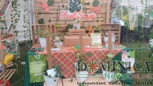 Ti Vilaj Kwéyòl 2023 – a showcase of everything Dominica