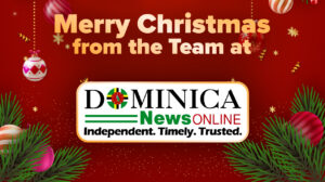 Merry Christmas from DNO!