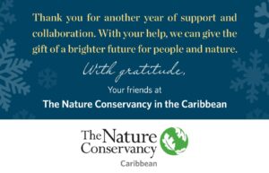 A year of conservation achievements