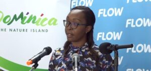 FLOW pledges support to Carnival 2024 to the tune of $90,000