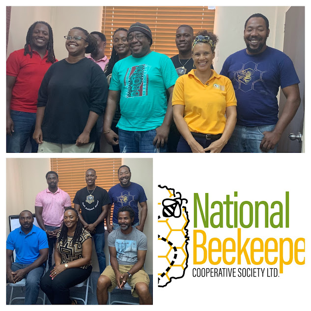Top: National Beekepers Cooperative board members, Bottom left: beekeeping mentors and mentees