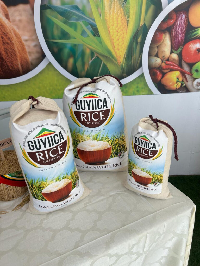 Guyana and IICA are developing the first biofortified rice in the ...