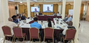 OECS Business Council engages regional private sector in revitalisation efforts
