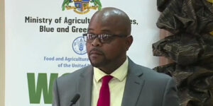 Agriculture minister calls for ‘one voice’ via National Farmers Association