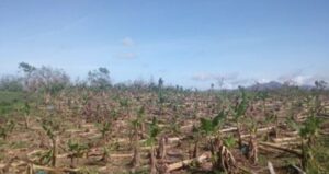 UN report: Large-scale regional food vulnerability tied to climate factors