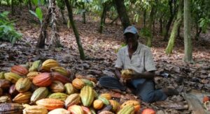 Dominica part of gender-responsive agriculture program starting this year