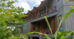 Secret Bay’s ‘Bwa Denn’, open to public from today