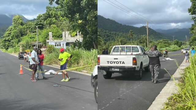 UPDATED: Man shot dead in Castle Bruce has been identified by police ...