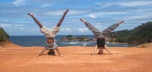 WaituCirque gearing up for third presentation of The Tree Show