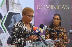 World Creole Music Festival Artist Reveal 2024