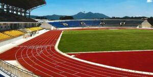Caribbean athletes shine at the Olympics: A call for sports development and tourism