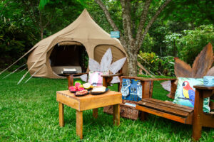 St. Vincent & the Grenadines open the first ever Caribbean glamping site in a rainforest wild bird sanctuary