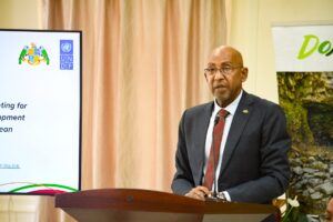 Eastern Caribbean State ministers meet in Dominica in preparation for high-level Forum
