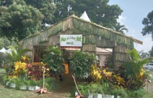 Ti Vilaj Kweyol’s Cassava House displays crop’s versatility
